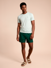 Carregar imagem no visualizador da galeria, Model Front: Uv Line T-Shirt For Men T-Shirt Uvpro Masc Light Green Upf50+

